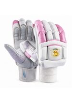 Power Hit Cricket Gloves
