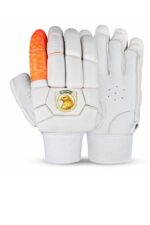 Professional Cricket Batting Gloves