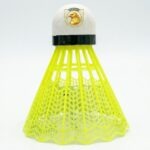 Professional Feather Shuttlecock